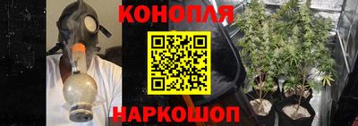 стафф Лесосибирск