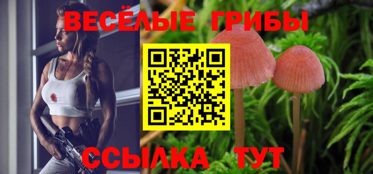 Галлюциногенные грибы ЛСД Алапаевск